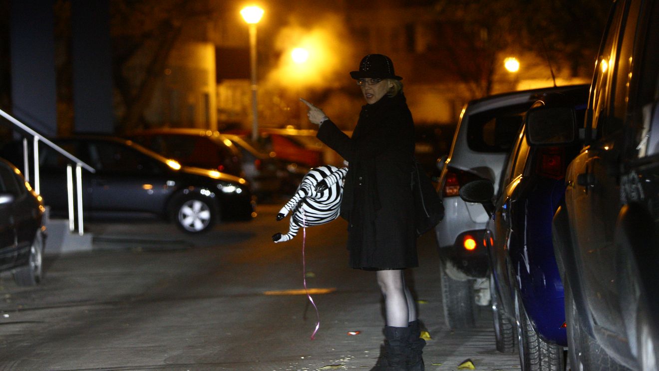 "Jurata" Emilia Popescu a plimbat o zebra prin Dorobanti, in miezul nosptii. Imagini hilare!