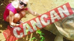 Andreea Banica, Concediu de 8.000 euro in insula Mauritius