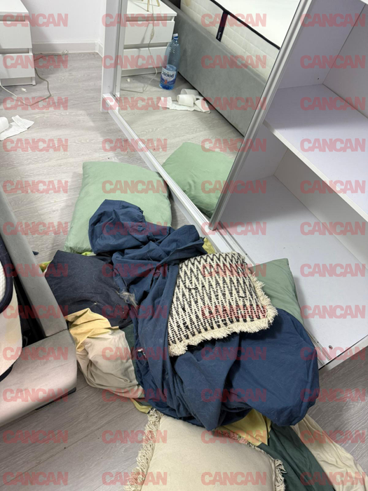 Calina Roman a mai distrus un apartament