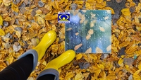 Prognoza meteo azi, 18 octombrie 2026. Ploile pun stăpânire pe mai multe regiuni! Unde se vor acumula peste 20 de litri de apă pe metru pătrat