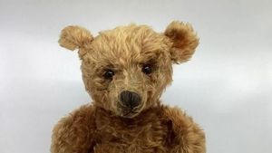 Descoperirea care a lăsat-o mută de uimire! Ce a găsit o femeie în doi ursuleți de pluș abia cumpărați