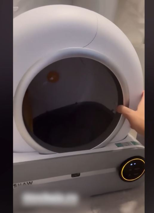 Cum arată apartamentul Ramonei Olaru după renovare. Are aer condiționat cu display și litieră „OZN”