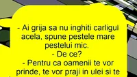 BANCUL ZILEI | Ce vorbesc peștii între ei, de fapt