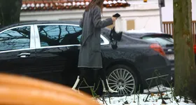 Galerie foto - poza 3