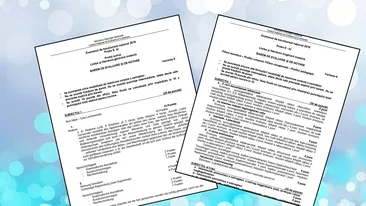 Bacalaureat 2018, sesiunea de toamnă. Subiecte si barem la limba materna