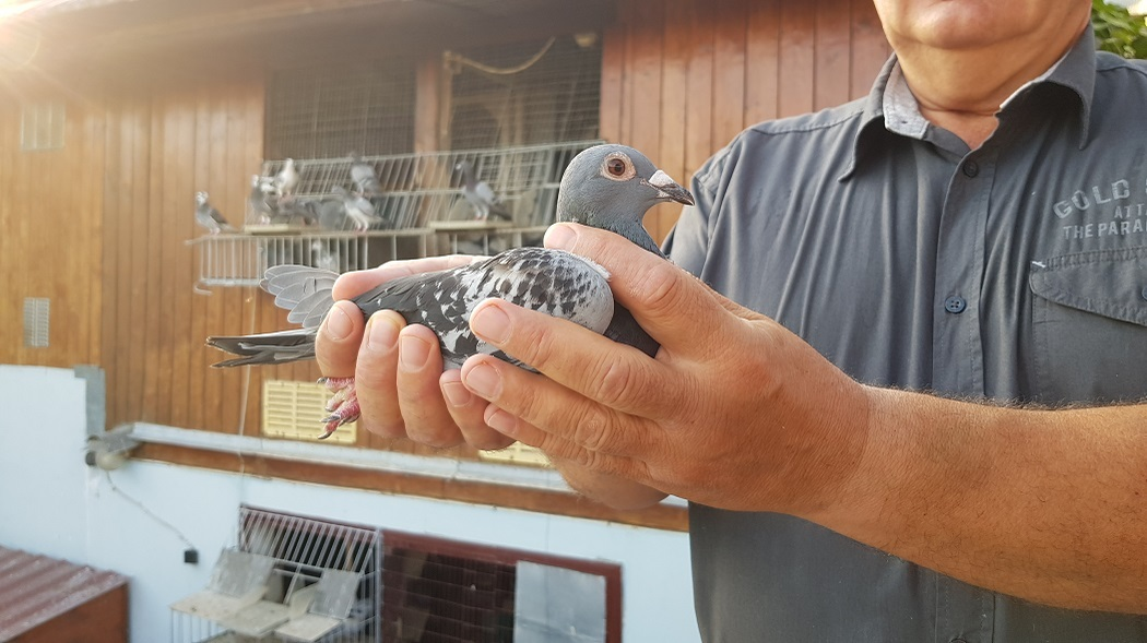 "Lady Gaga" şi "tatăl" ei, medicul veterinar Viorel Agud