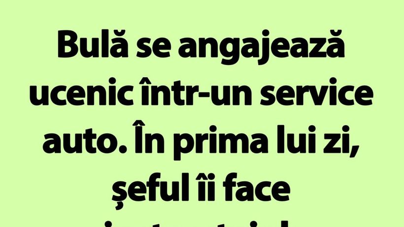BANC | Bulă se angajează ucenic într-un service auto