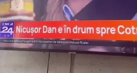 Galerie foto - poza 2