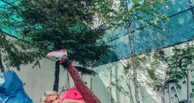 Galerie foto - poza 1