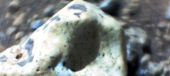 Un material uluitor a fost descoperit pe Marte de roverul Perseverance