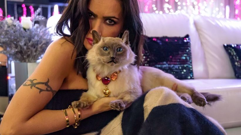 Atenţie! Imagini şi mărturii şocante. L-a deshumat pe răposatul Marty, apoi… Zăvo şi-a împăiat motănelul! “Îl îngropasem lângă tata!”