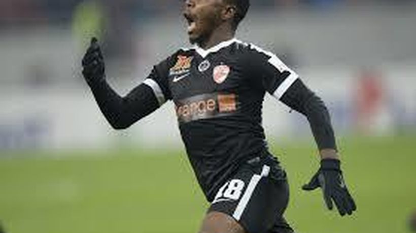 „Câinii” le promit un Crăciun de vis fanilor