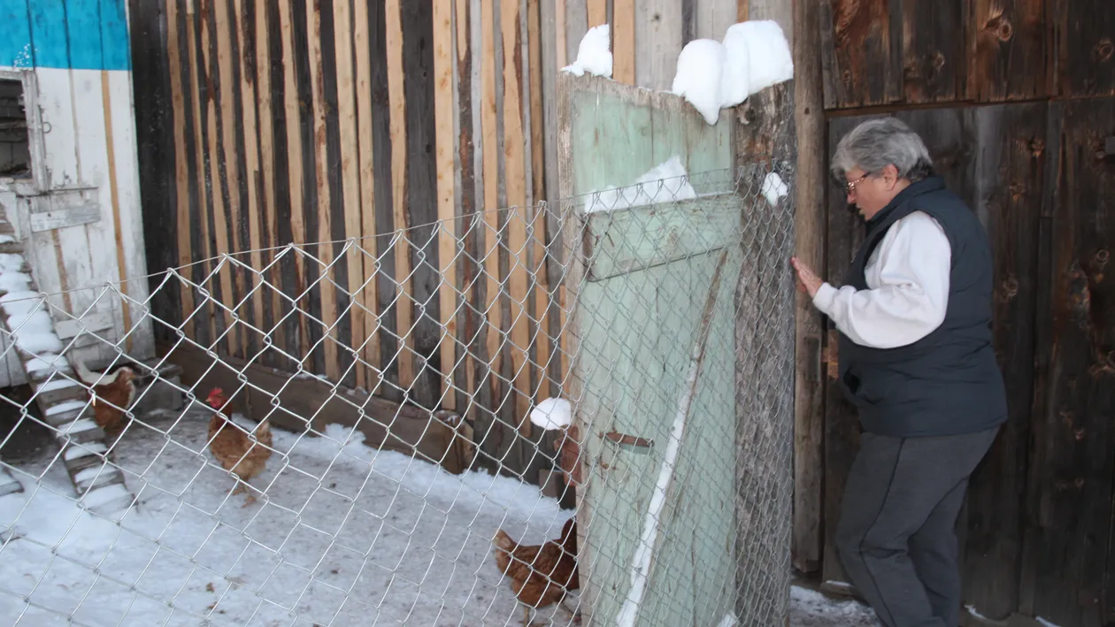 Mama FNI, dezvaluiri incredibile la 13 ani de la prabusirea Fondului National de Investitii! Ce avere are Ioana Maria Vlas