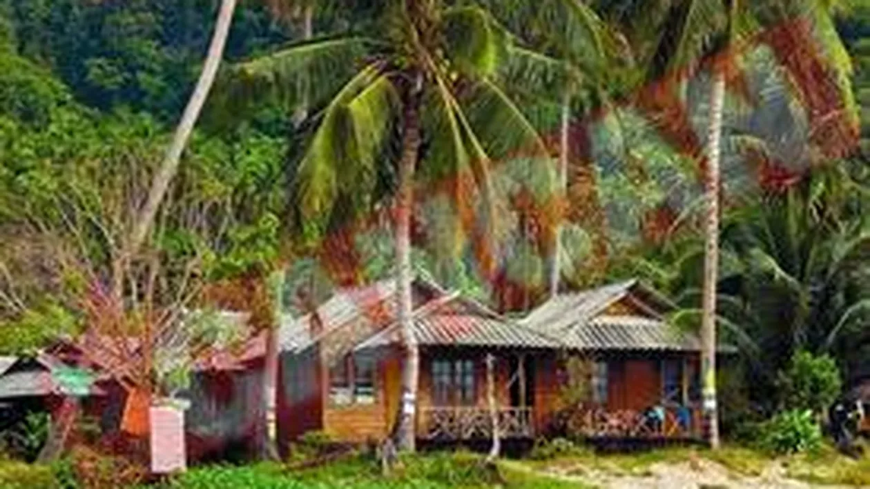 Cornel Pasat, castigatorul competitiei Rataciti in Panama?