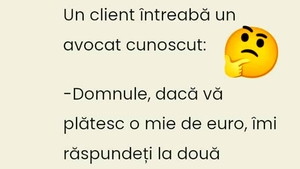 BANC | "Domnule avocat, dacă vă plătesc 1.000 de euro, îmi răspundeți la două întrebări?"