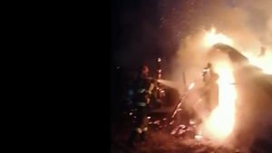 Două incendii de proporții au izbucnit în Argeș! Focul a mistuit o casă și un adăpost pentru animale