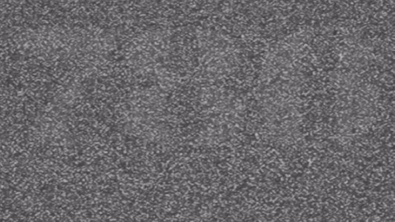 Iluzie optică virală | Doar geniile văd numărul ascuns în această imagine