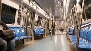 Bucureștenii au avut astăzi un șoc. Ce animale au fost fotografiate plimbându-se în metrou