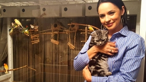 Andreea Marin, "lătrată şi muşcată" de iubitorii maidanezilor. Uite ce vedete îi iau partea şi cine o pune la zid