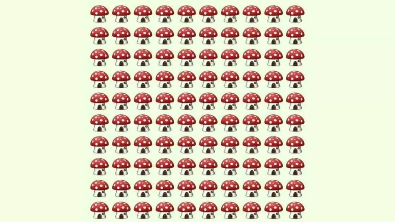 Test IQ | Ai mintea ageră dacă vezi unde se ascunde ciuperca diferită din poza, în doar 7 secunde!