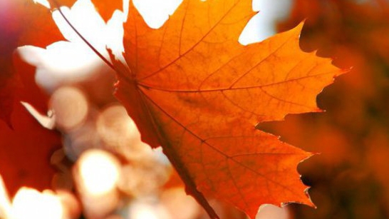 METEO 2 OCTOMBRIE! Anunţul de ultimă oră făcut de meteorologi