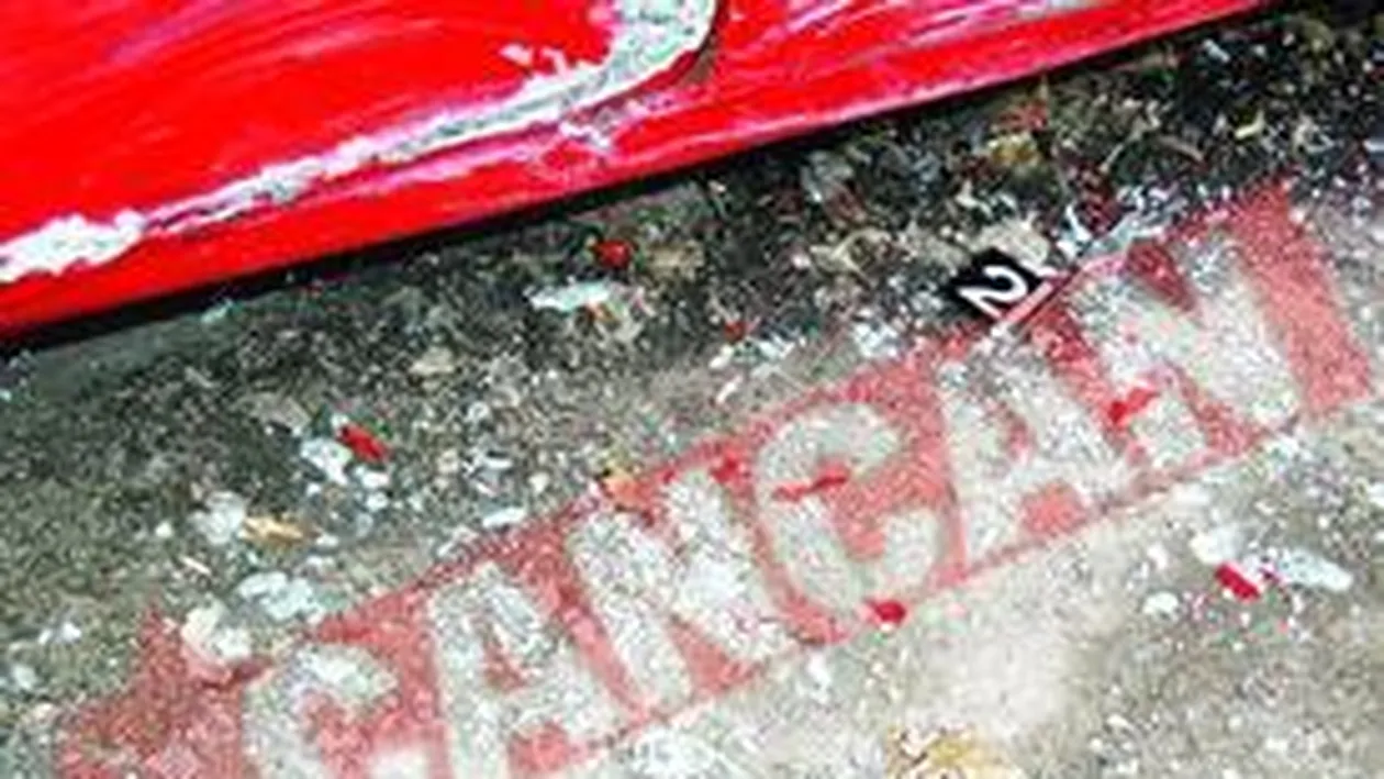 Asasini prinsi dupa fire de praf sau scame