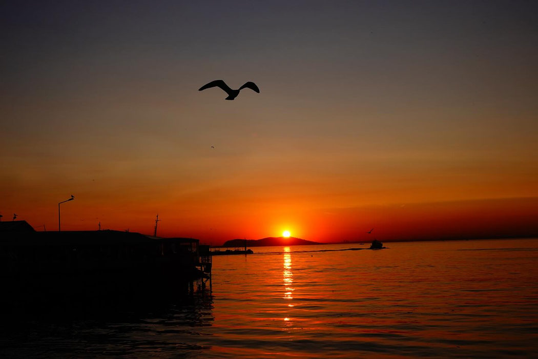 Fotografiile artistice ale lui Duru Nayman, sursa-captură social media Duru Nayman