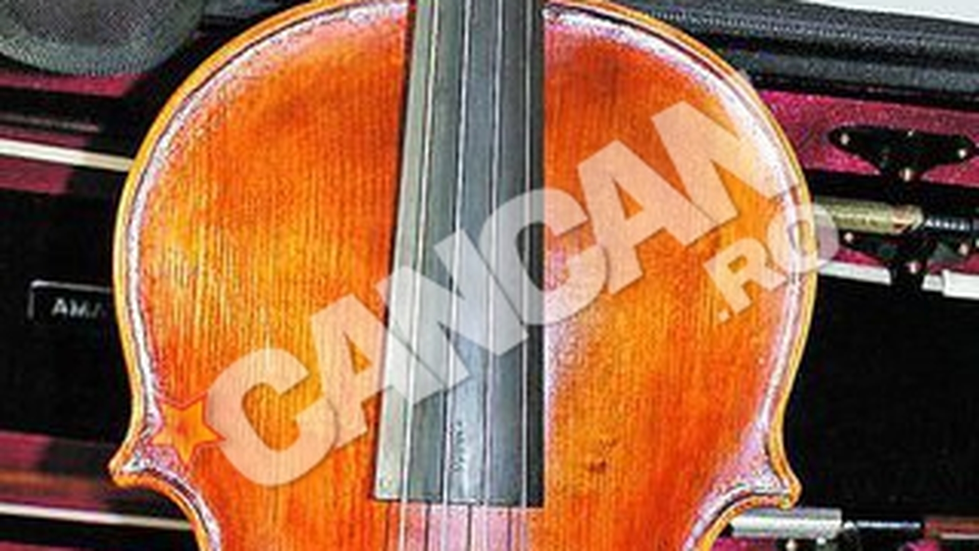 Valorosul instrument a fost cumparat de pe internet. Viola furata din Austria, gasita la un roman
