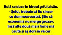 Banc cu Bulă de 1 Mai | Bulă se duce în biroul șefului său