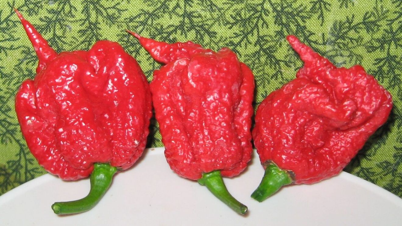 „Da’ iute să fie!” Românii și ardeiul lor curajos. Dar știi care este, de fapt, cel mai iute ardei din lume?