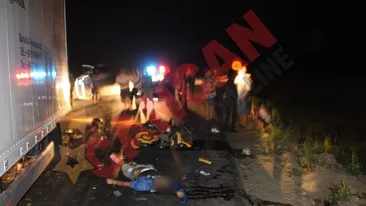 Un tanar a fost omorat chiar de ziua lui