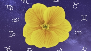 Horoscop de mărțișor. Care sunt zodiile care vor radia ca razele soarelui în primele zile din martie