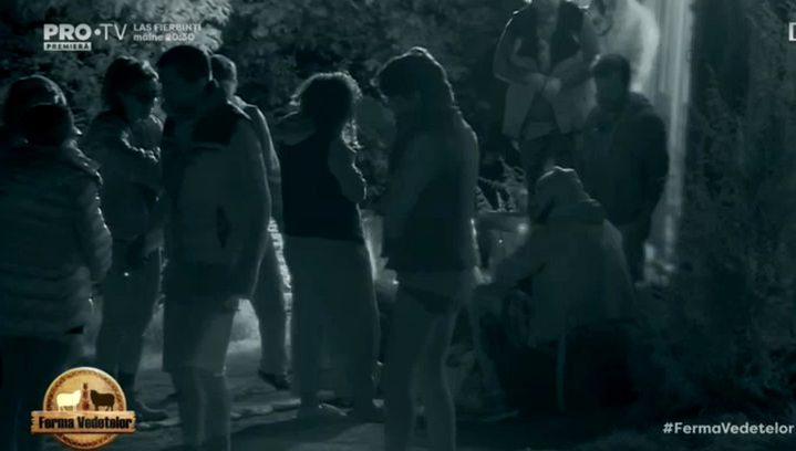 Scandal la “Ferma vedetelor“! Rona Hartner și Cristi Mitrea și-au aruncat cuvinte grele: “Îți dau un pumn în cap de te liniștesc…“