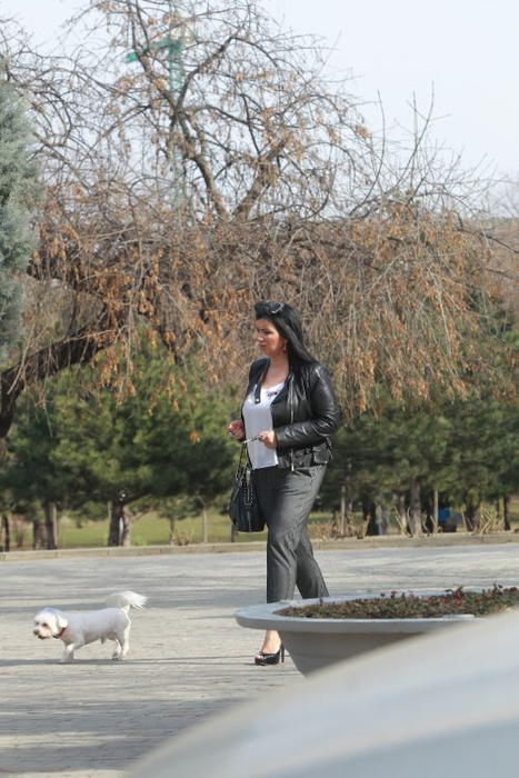 Bursi este un cățel răsfățat
