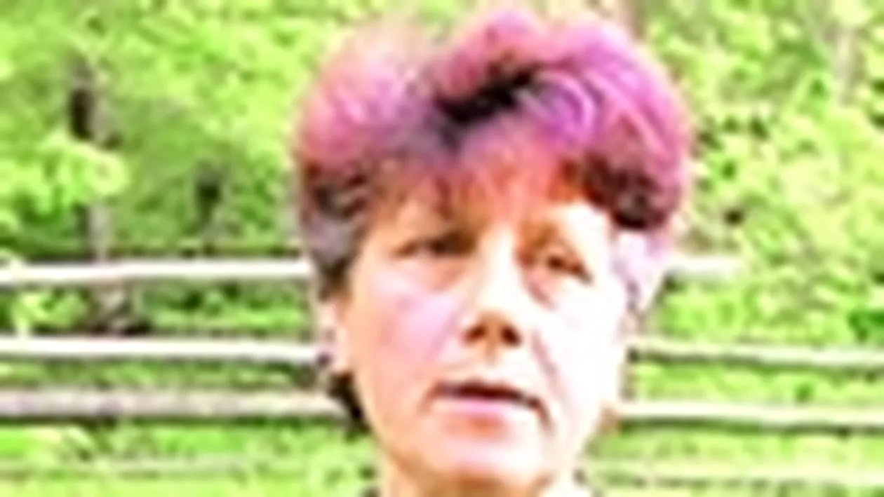 Lupta cu ursul la Bran