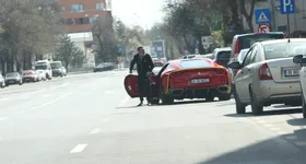 Galerie foto - poza 4