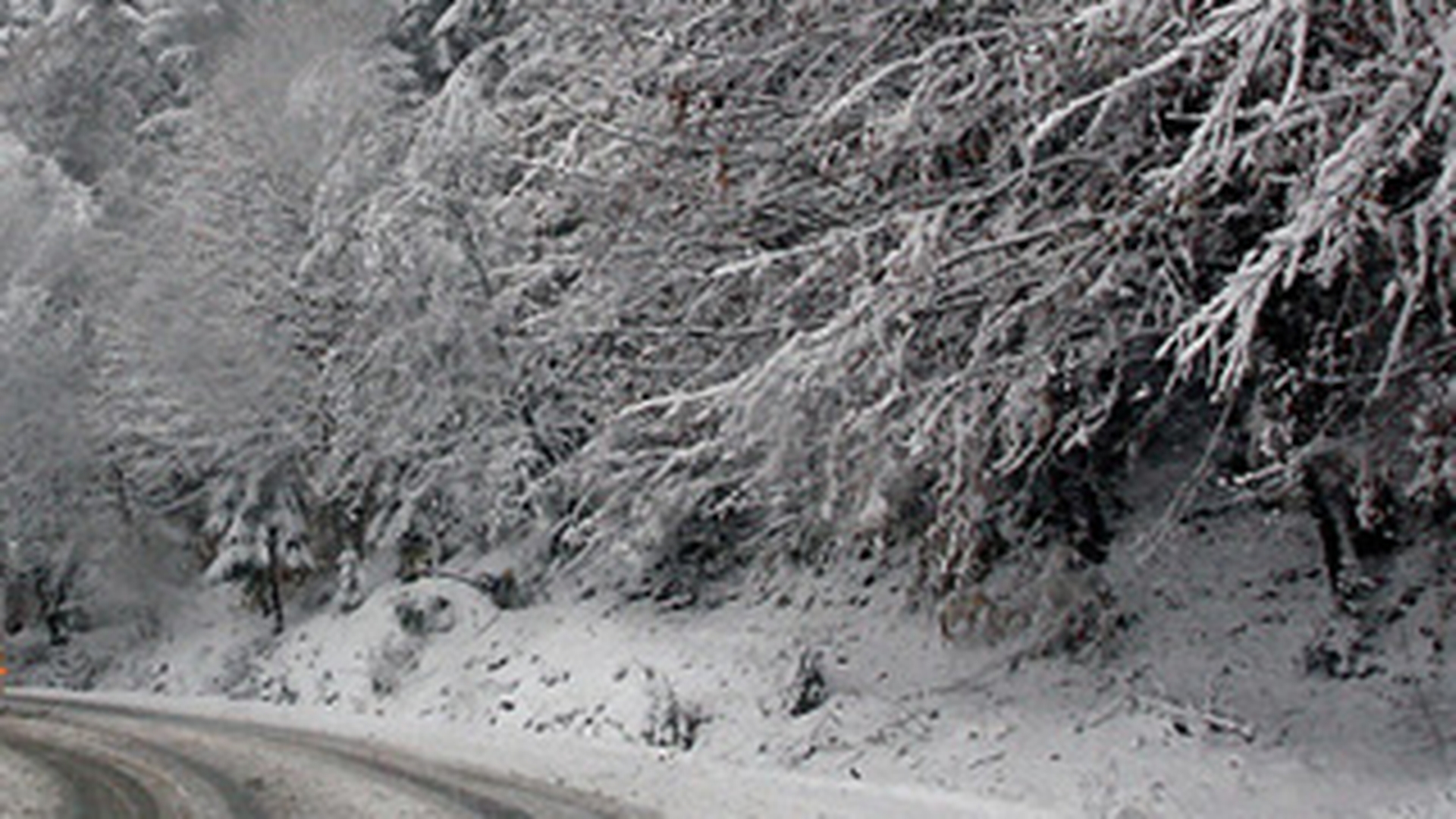 Avertizare meteo: ninsori si vant puternic in aproape toata tara