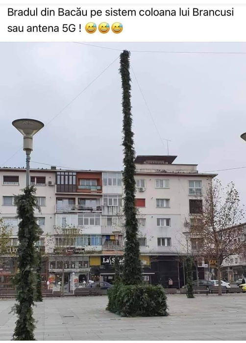 Bradul din Bacău a ajuns subiect de glume pe internet