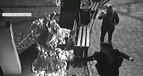 Galerie foto - poza 1