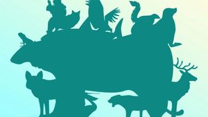 Iluzie optică virală | Câte animale sunt, de fapt, în această imagine? Dacă răspunzi corect, ești un geniu