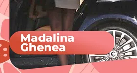 Galerie foto - poza 4