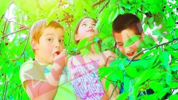 Dudele, antibiotic natural!