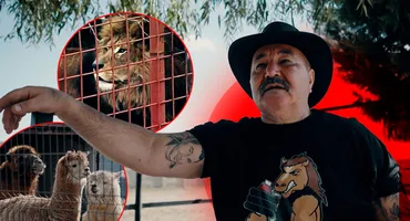 Nuțu Cămătaru, detalii despre animalele exotice din grădina zoo. De unde a cumpărat primii lei
