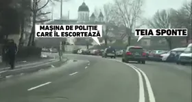 Galerie foto - poza 3