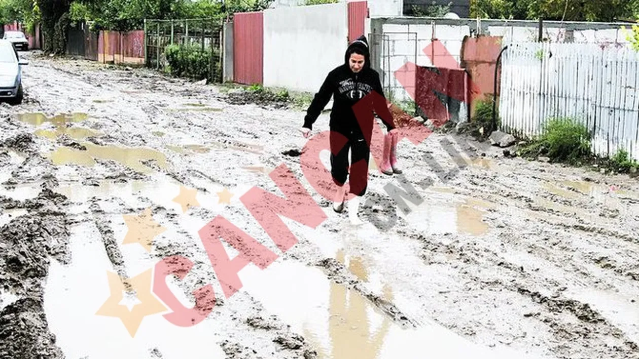 Mlastina asta e strada mea