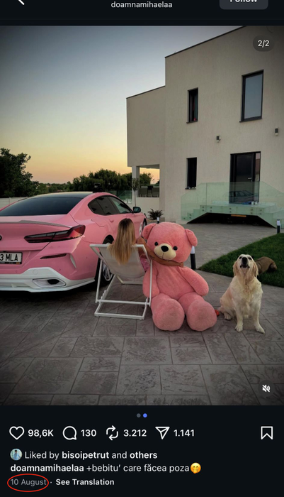 Doamna Mihaela. sursă - social media