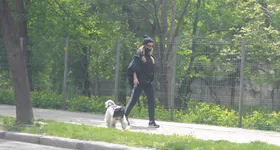 Galerie foto - poza 4