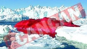 Vrea sa picteze Mont-Blanc in rosu