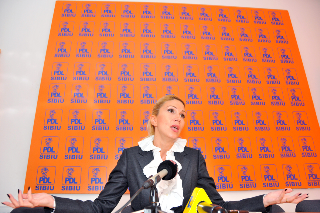 Vicepresedintele PDL Raluca Turcan sustine o conferinta de presa la sediul partidului, in Sibiu, vineri, 19 noiembrie 2010. SILVANA ARMAT / MEDIAFAX FOTO