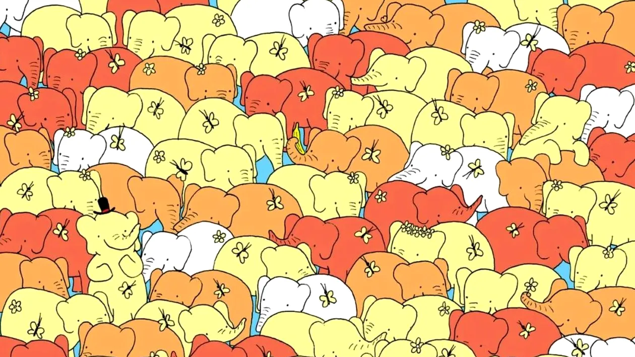 Test de perspicacitate | Numai geniile găsesc inima care se ascunde în poză, în 28 de secunde